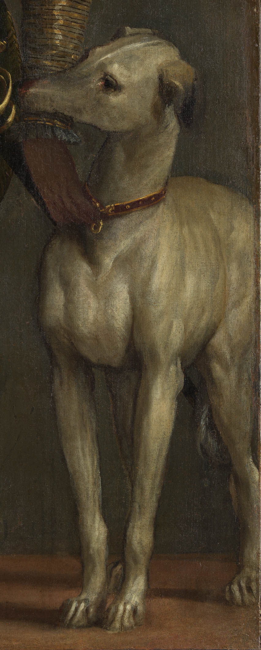 /
