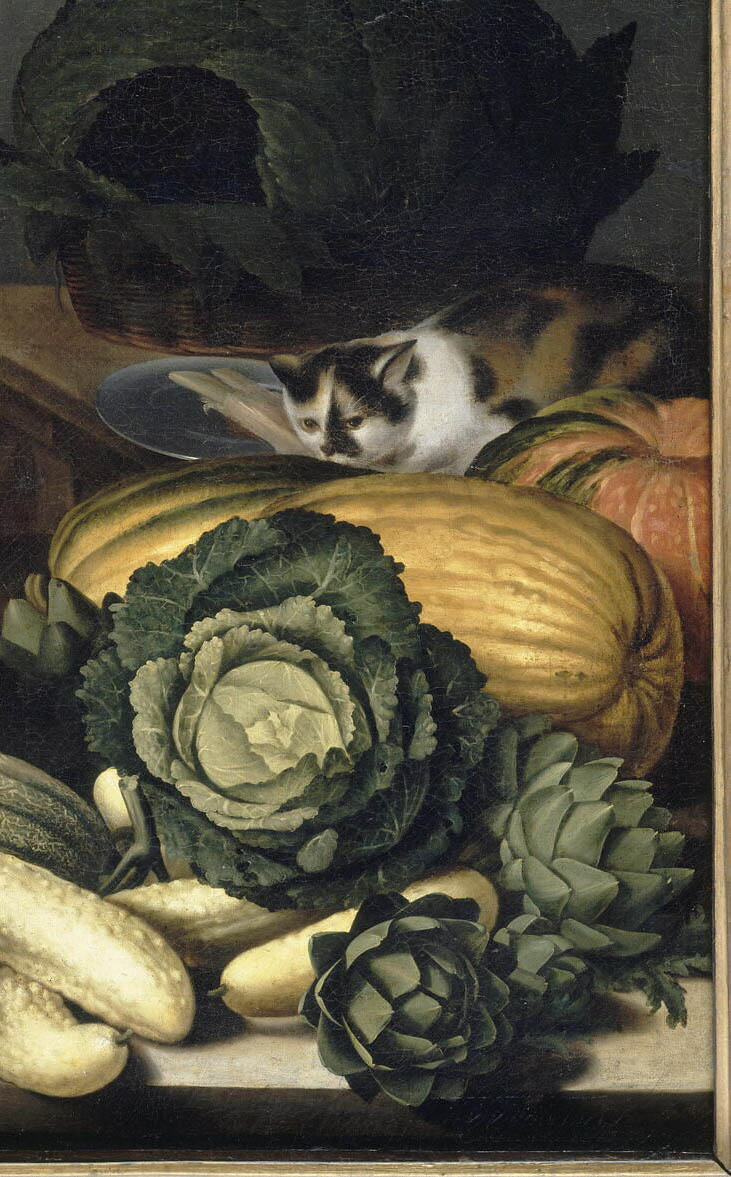 /