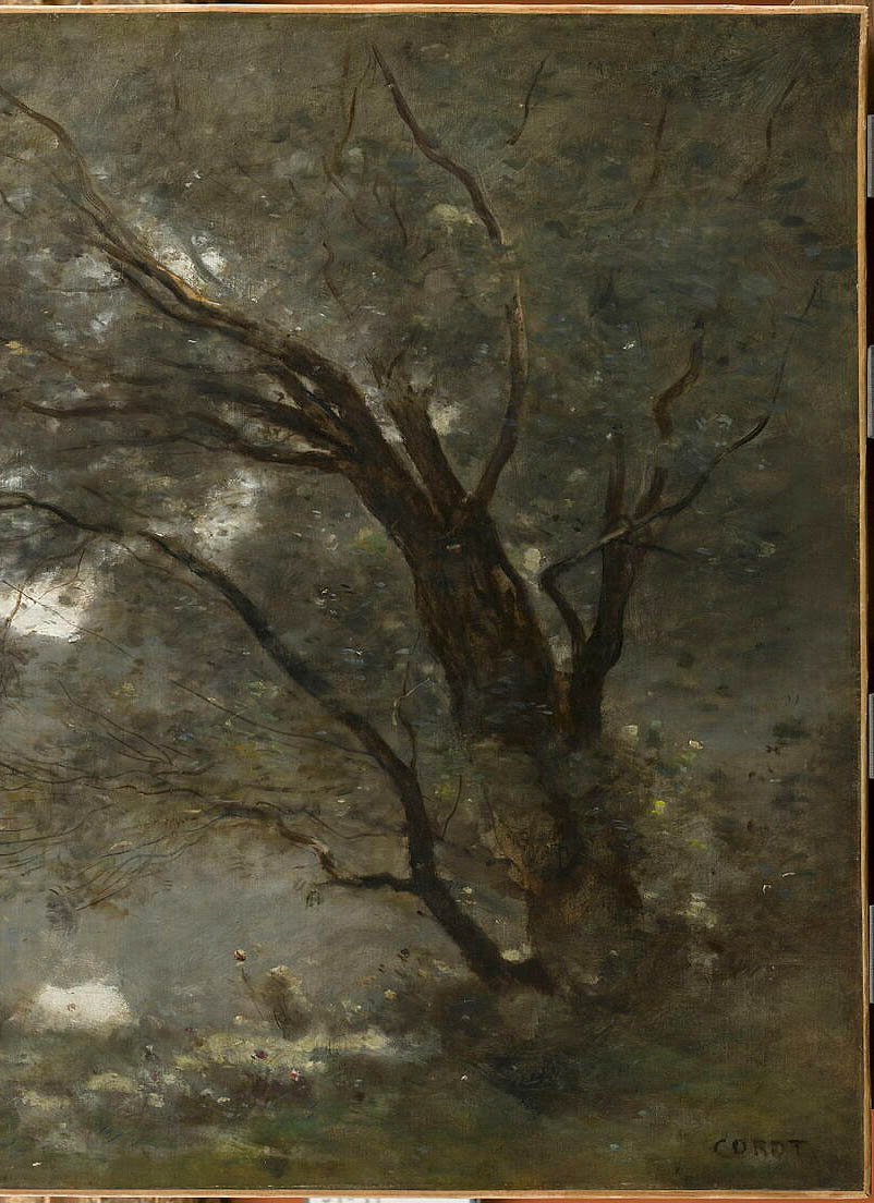 /