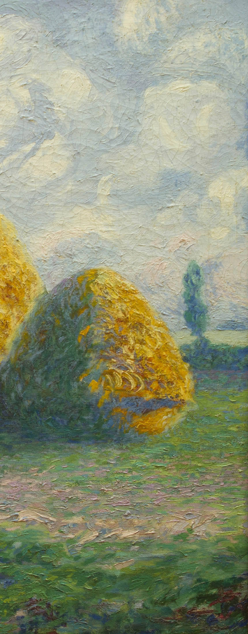 /