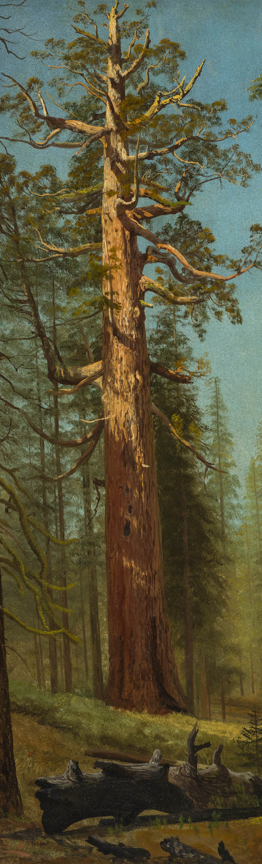 /