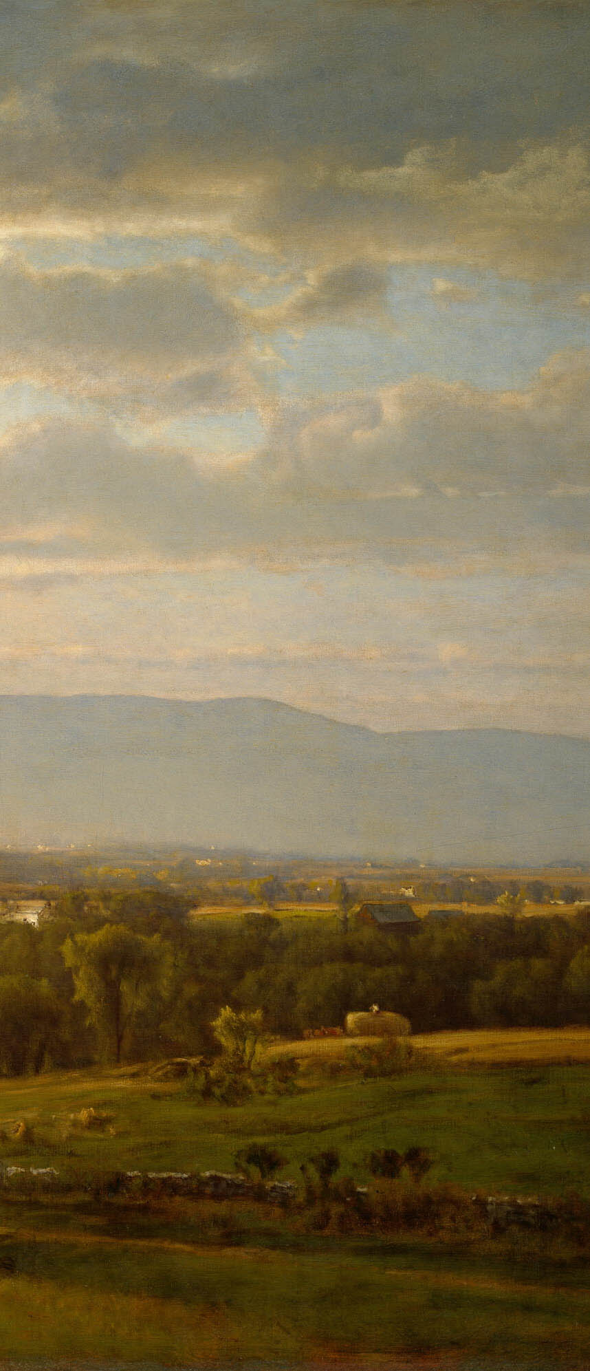 021c.jpg