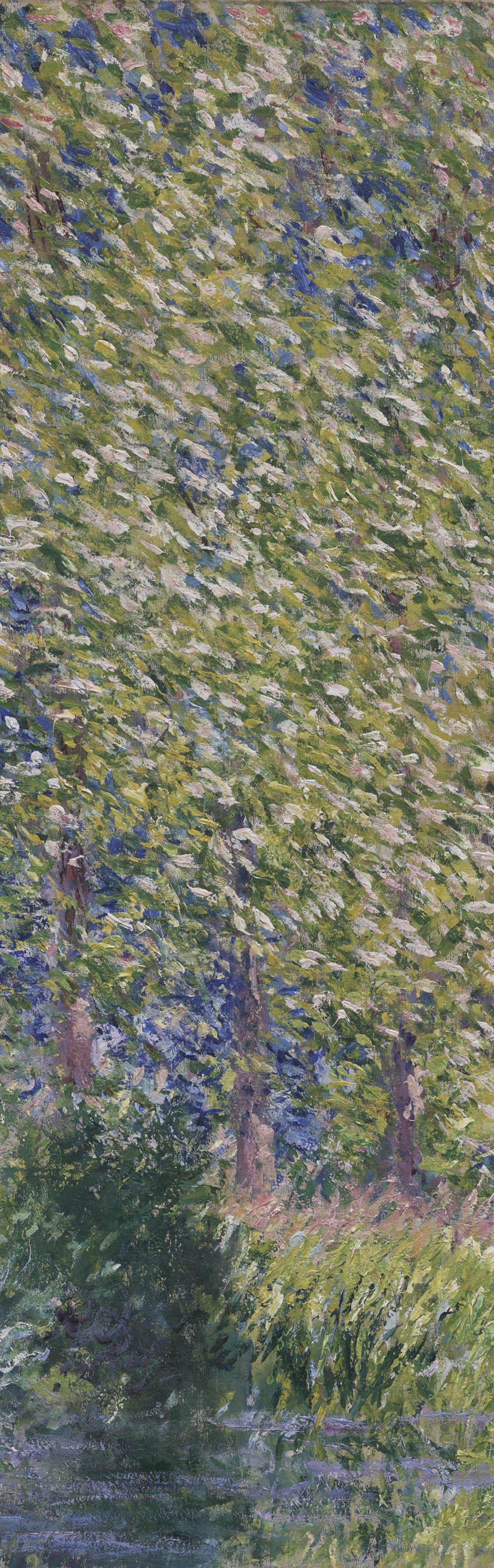 05f.jpg